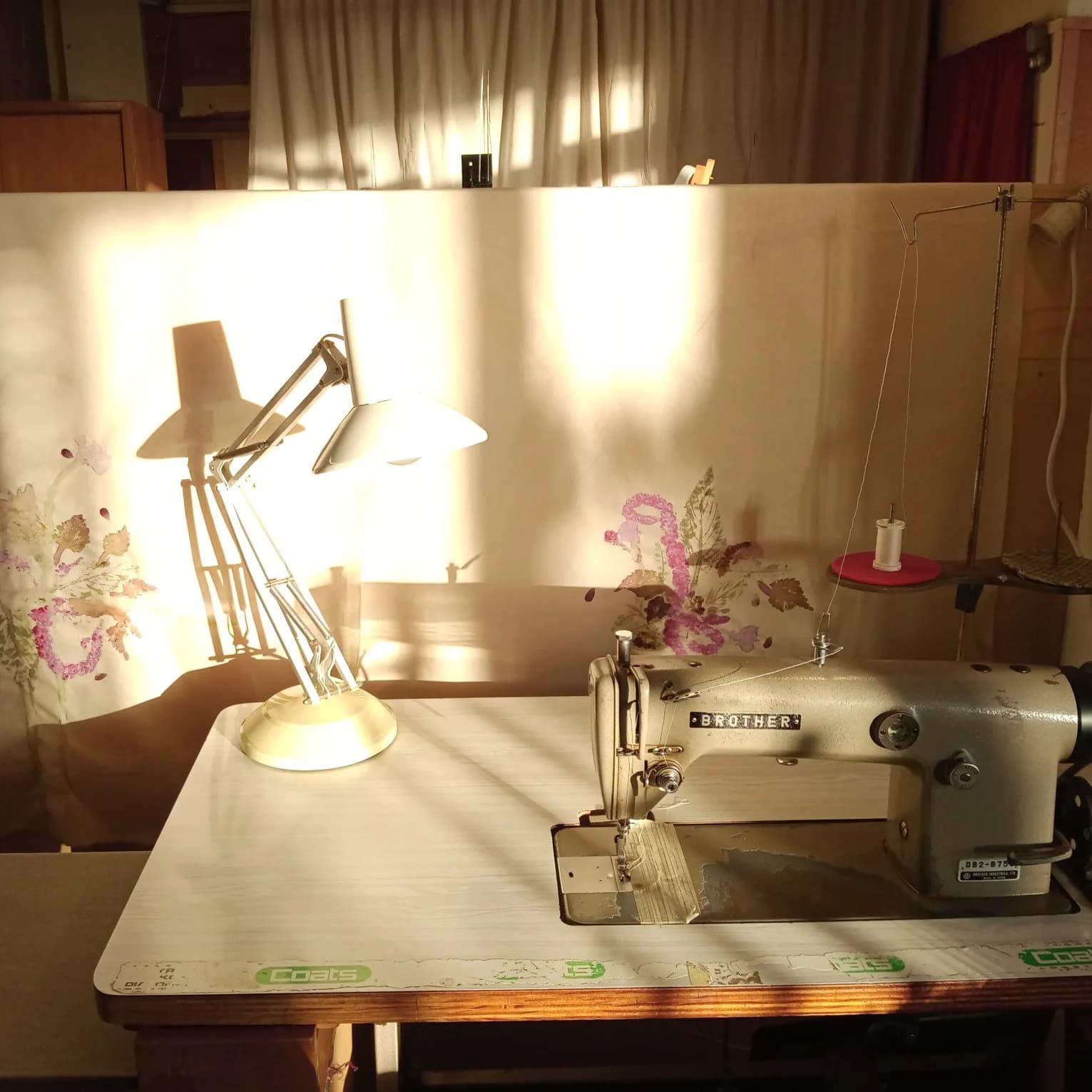 Sewing machine in golden light at Paetuia Studio